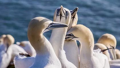 天博体育-【集锦】皇马3-0曼城，巴尔韦德半场戴帽，维尼修斯失点