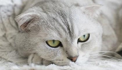 TIANBO SPORTS-欧冠综合：曼城0:3客负皇马